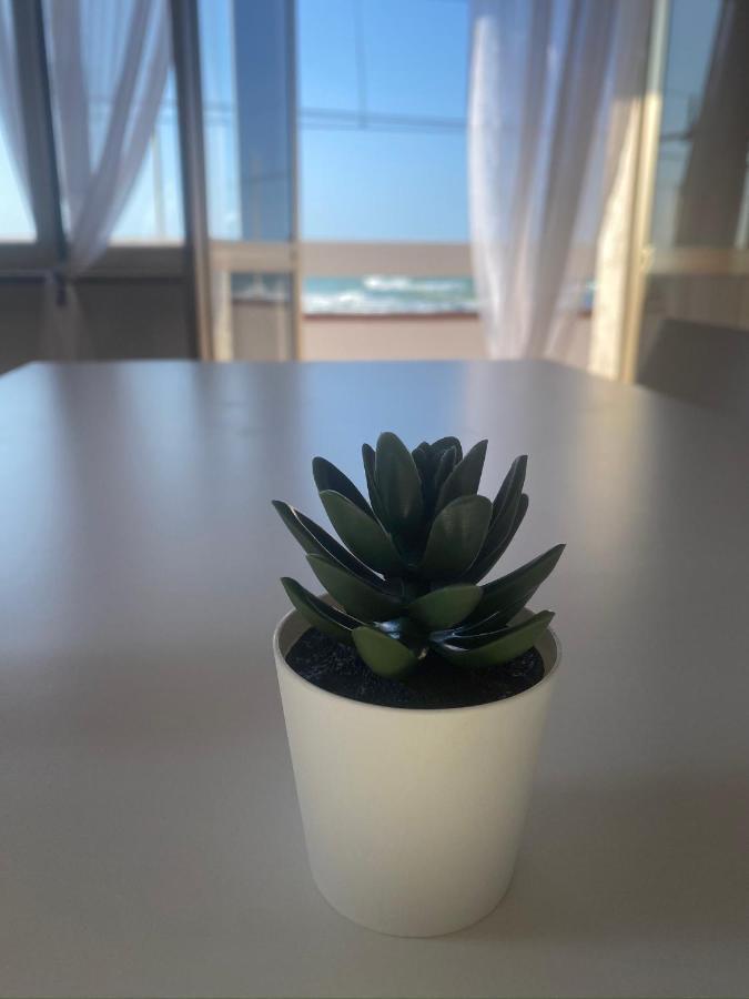 B&B Vista Mare Rodi Garganico Dış mekan fotoğraf